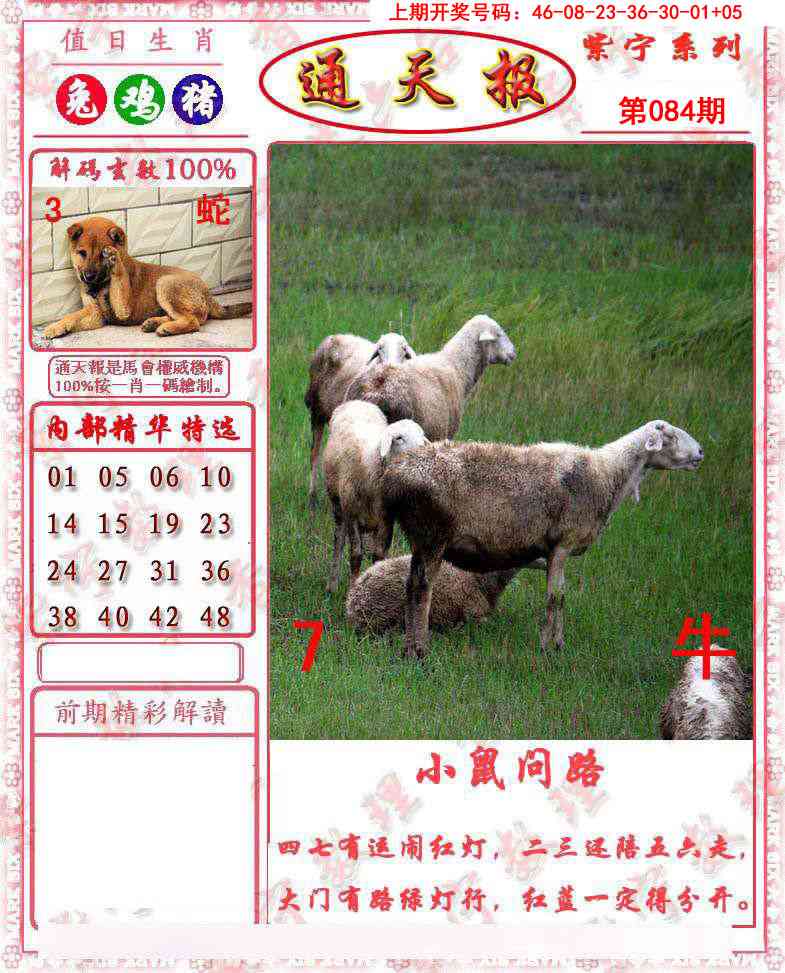 084期救通报[图]