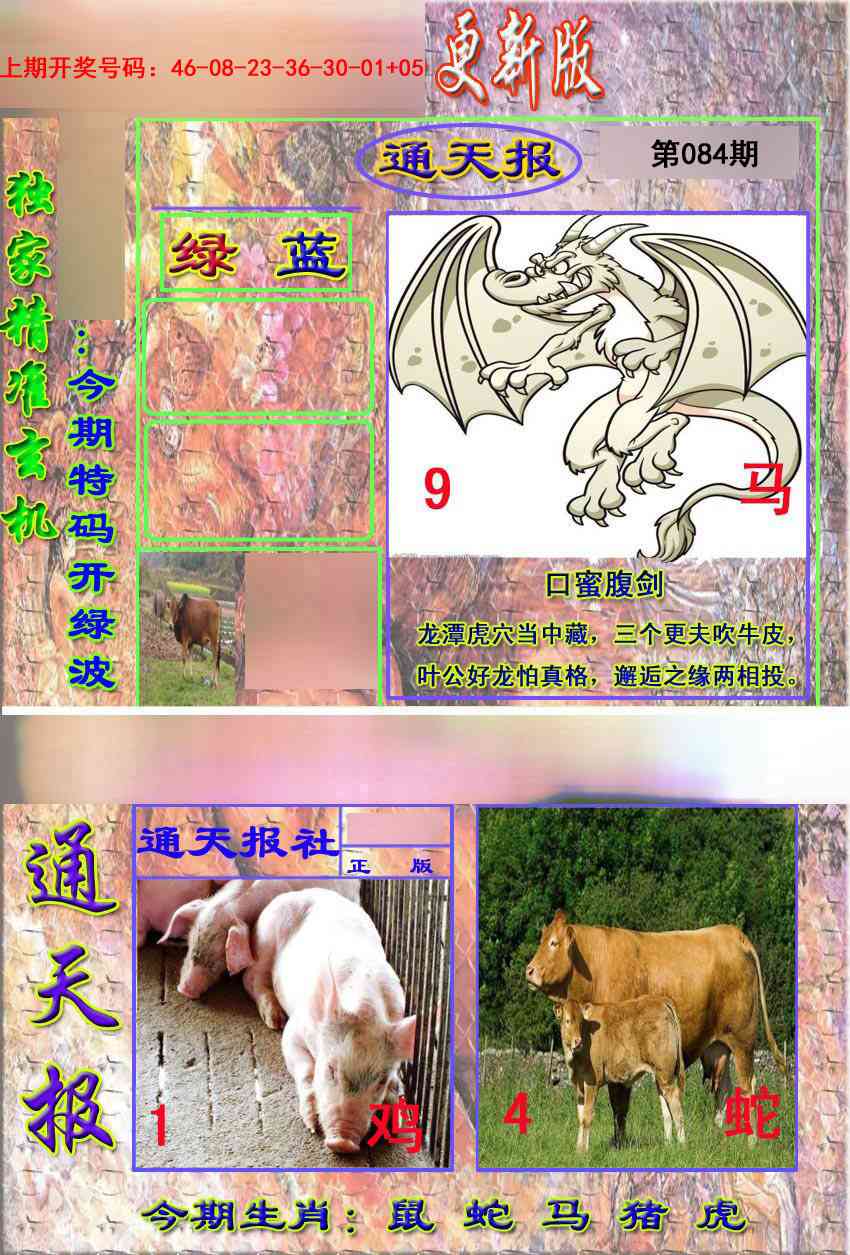 084期新通报[图]