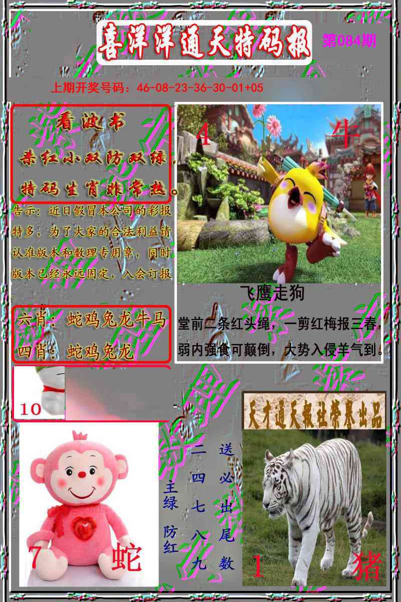 084期洋通报[图]