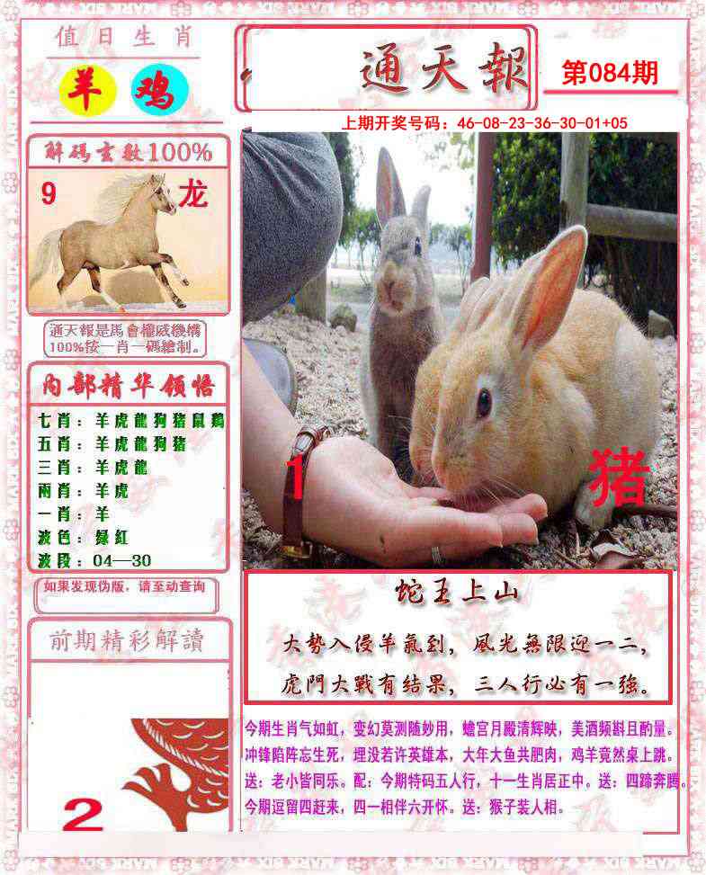 084期马经通天报[图]