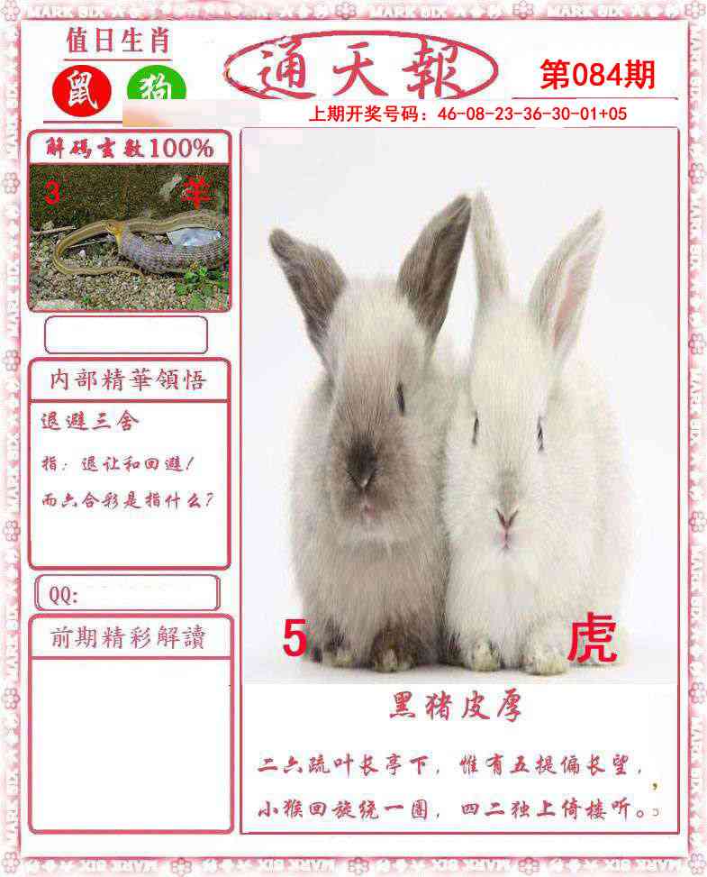 084期正版通天报[图]