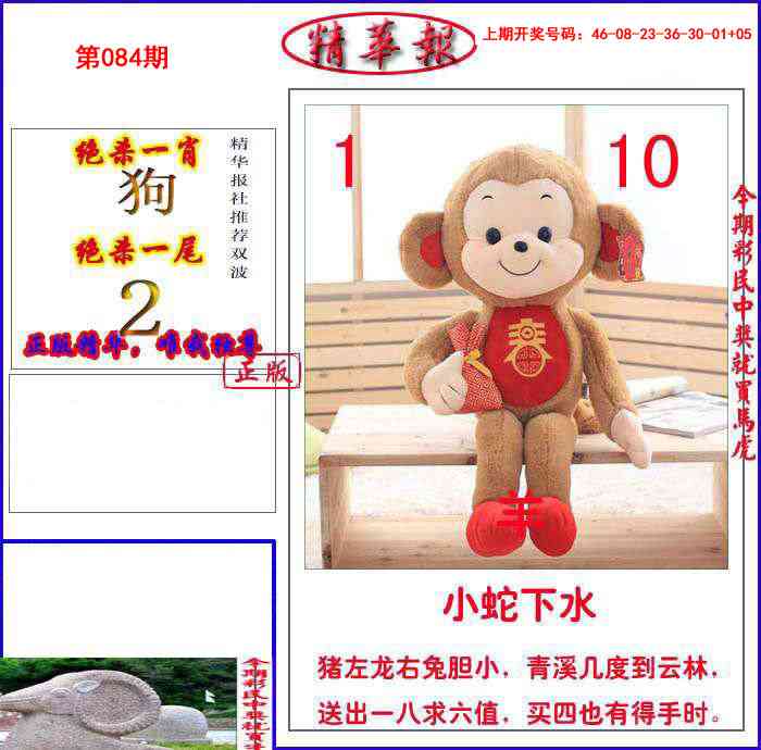 084期新精华报报[图]