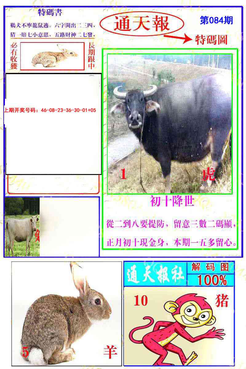 084期通天特解图[图]