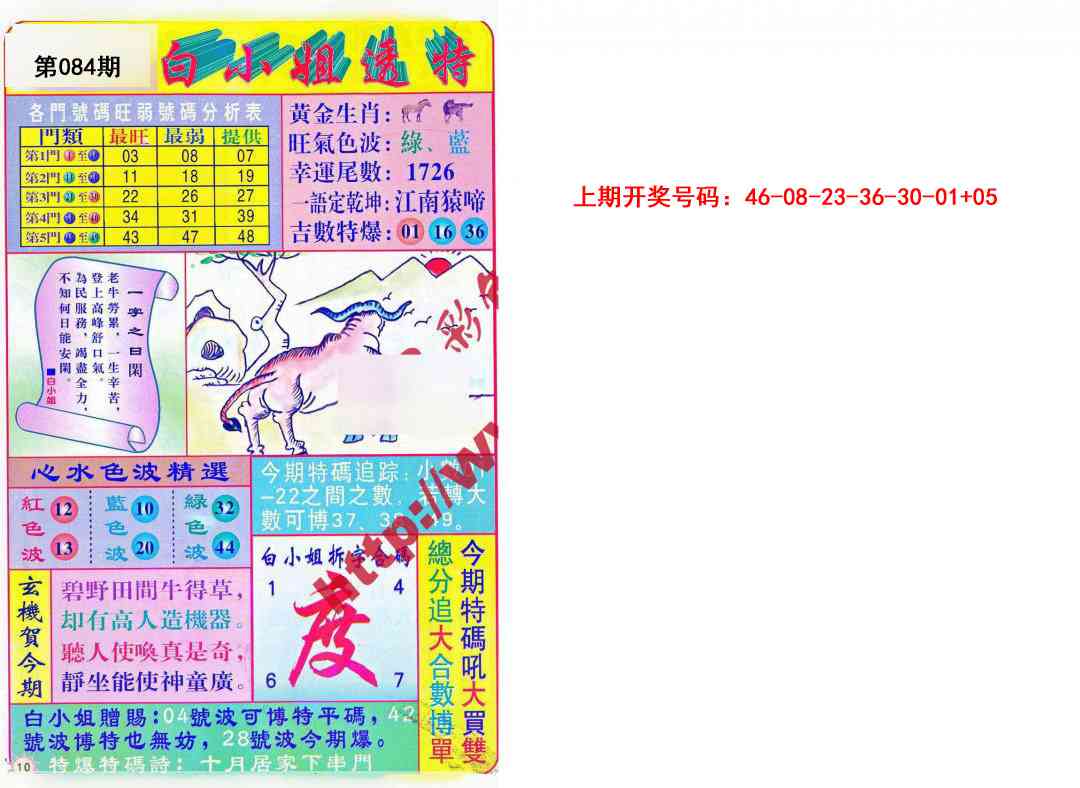 084期白小姐透特[图]